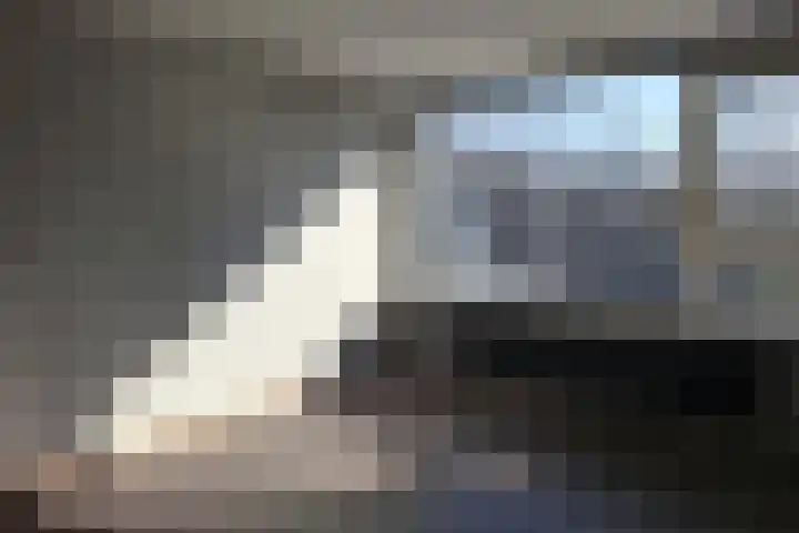 Valkreek 35 Rotterdam thumbnail 11
