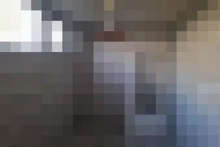 Valkreek 35 Rotterdam thumbnail 16