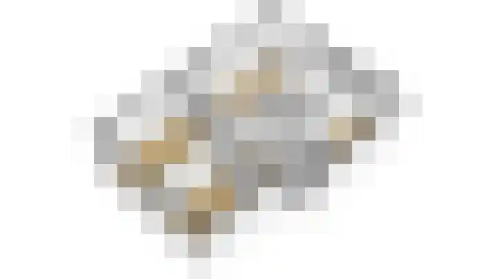 Valkreek 55 Rotterdam thumbnail 12