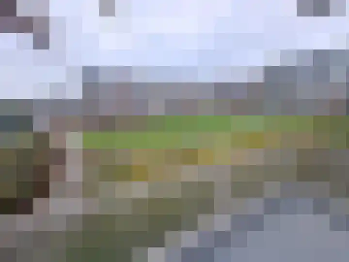 Valkreek 55 Rotterdam thumbnail 5