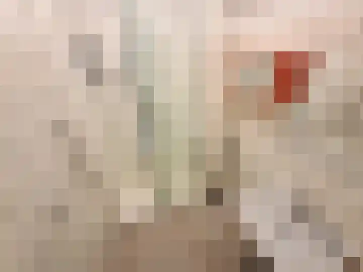 Valkreek 55 Rotterdam thumbnail 8