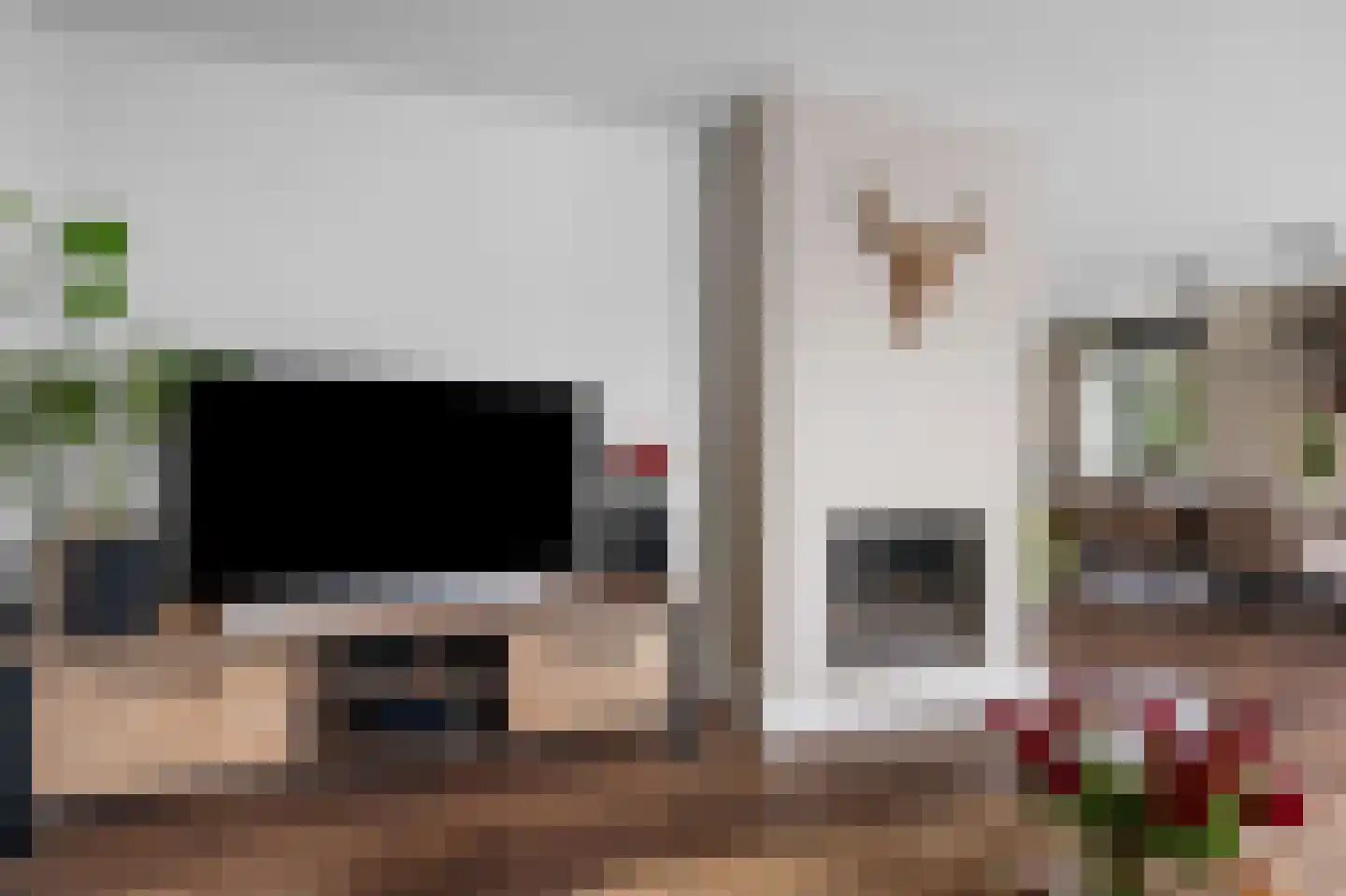 Valkruid 21 Klazienaveen thumbnail 10