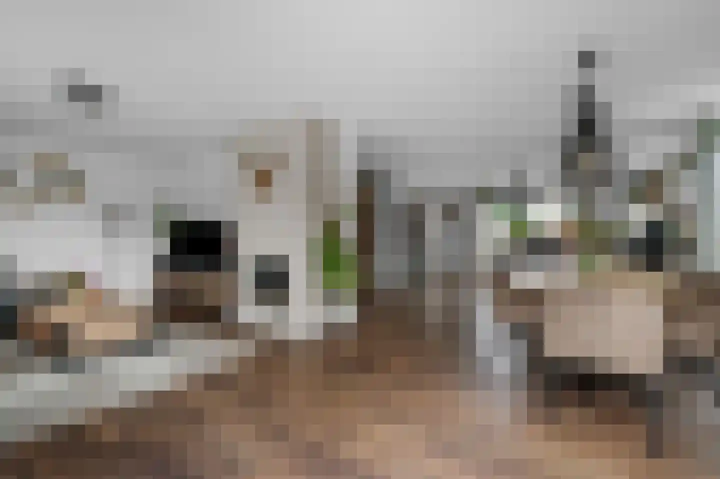 Valkruid 21 Klazienaveen thumbnail 12