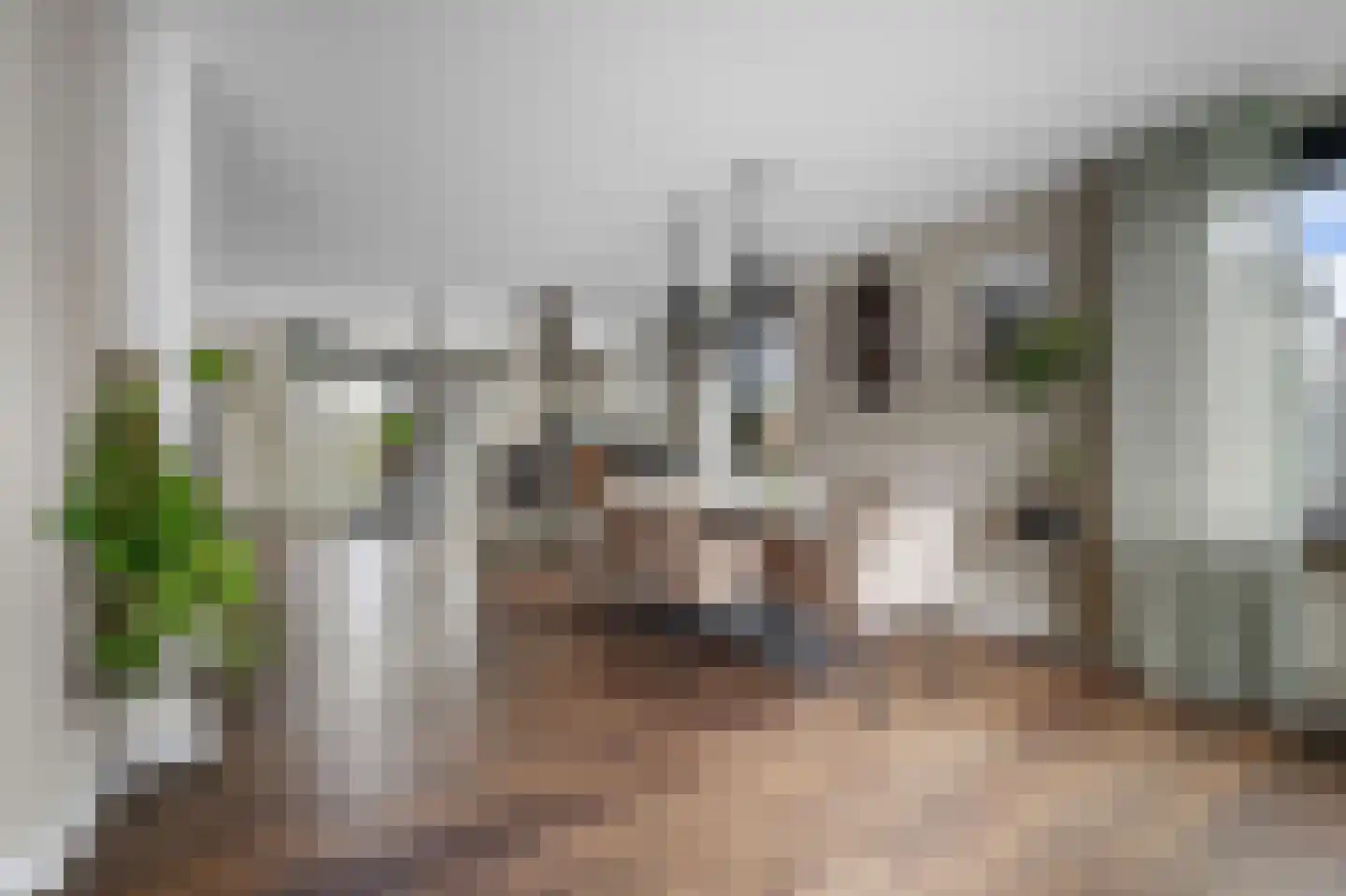 Valkruid 21 Klazienaveen thumbnail 13