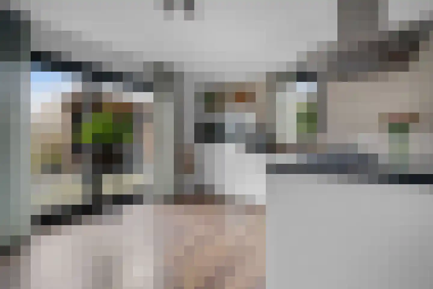 Valkruid 21 Klazienaveen thumbnail 14
