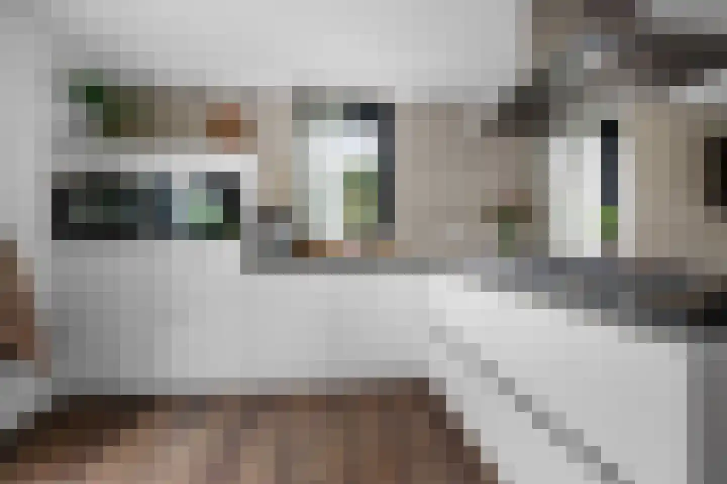 Valkruid 21 Klazienaveen thumbnail 15