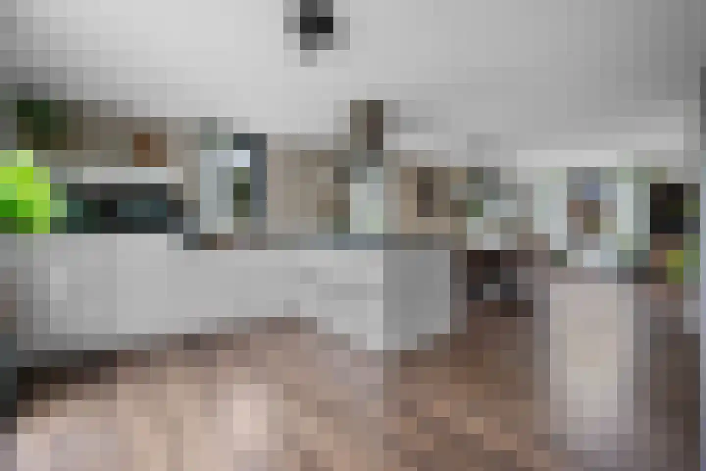 Valkruid 21 Klazienaveen thumbnail 19