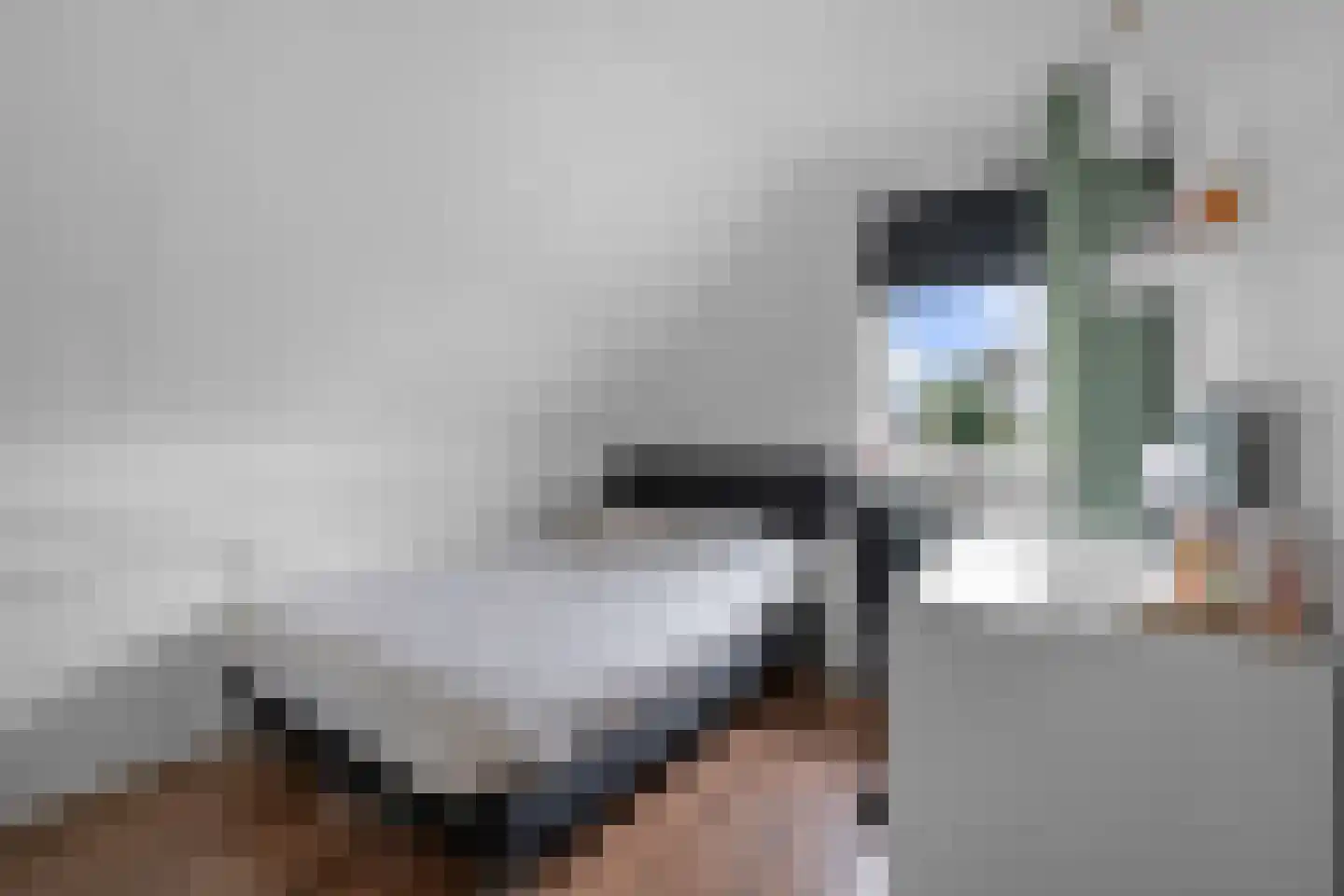 Valkruid 21 Klazienaveen thumbnail 27