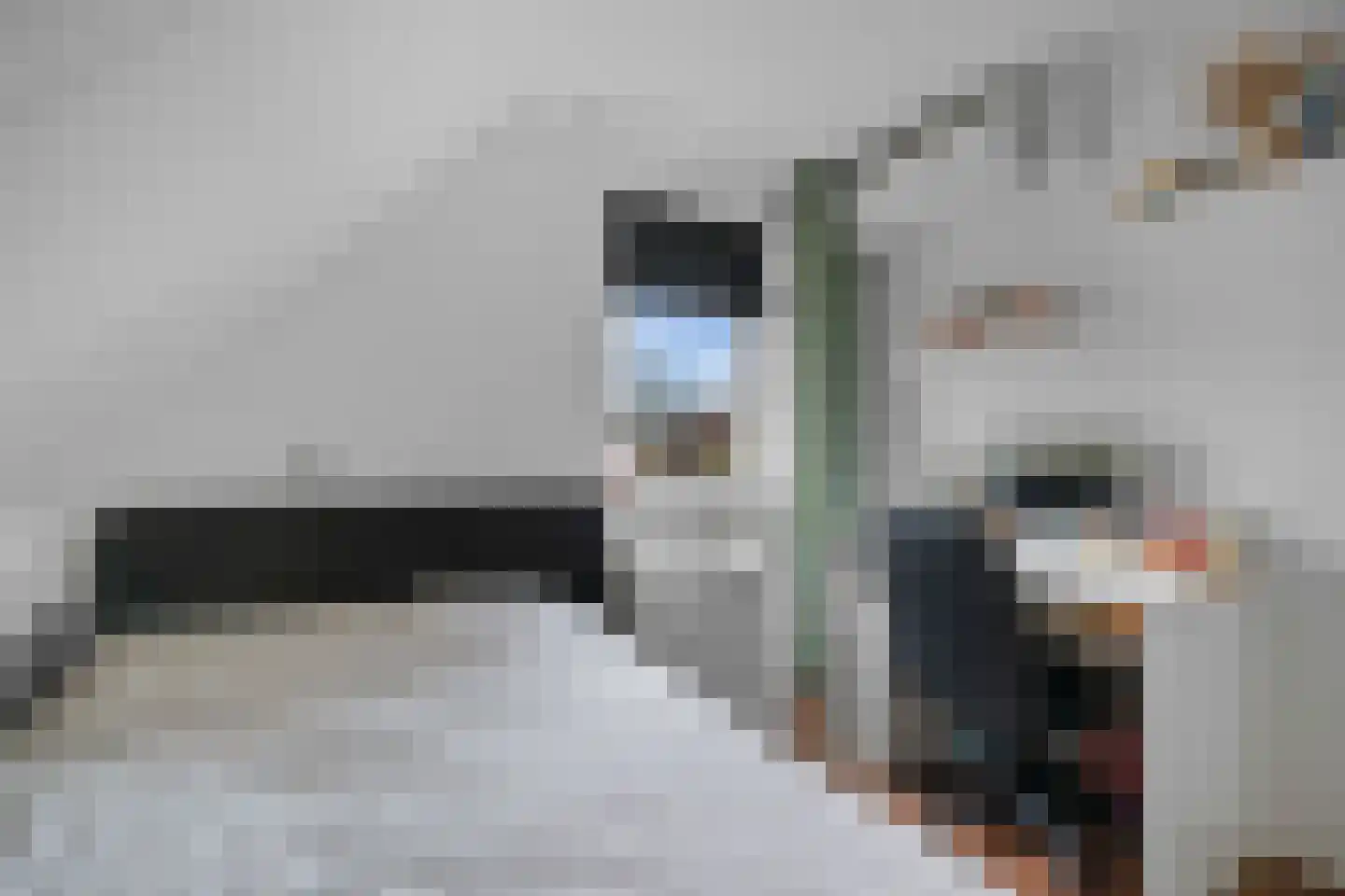 Valkruid 21 Klazienaveen thumbnail 28