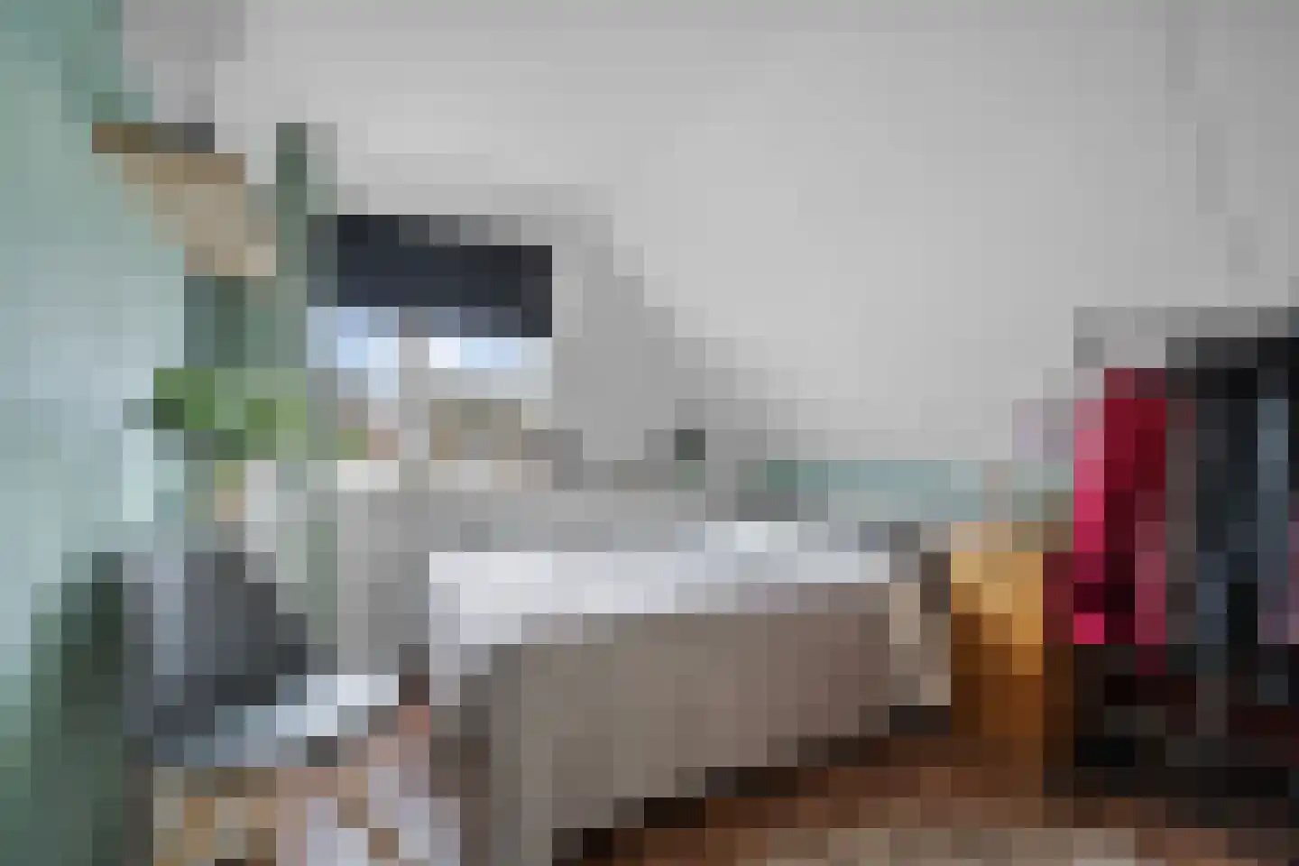Valkruid 21 Klazienaveen thumbnail 29