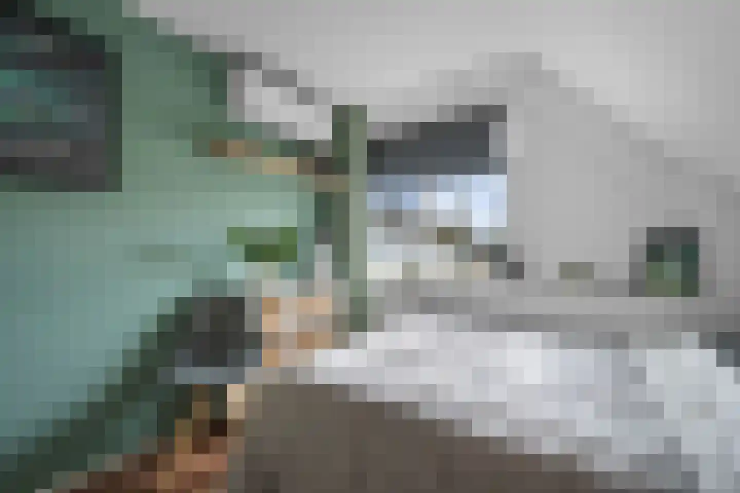 Valkruid 21 Klazienaveen thumbnail 30