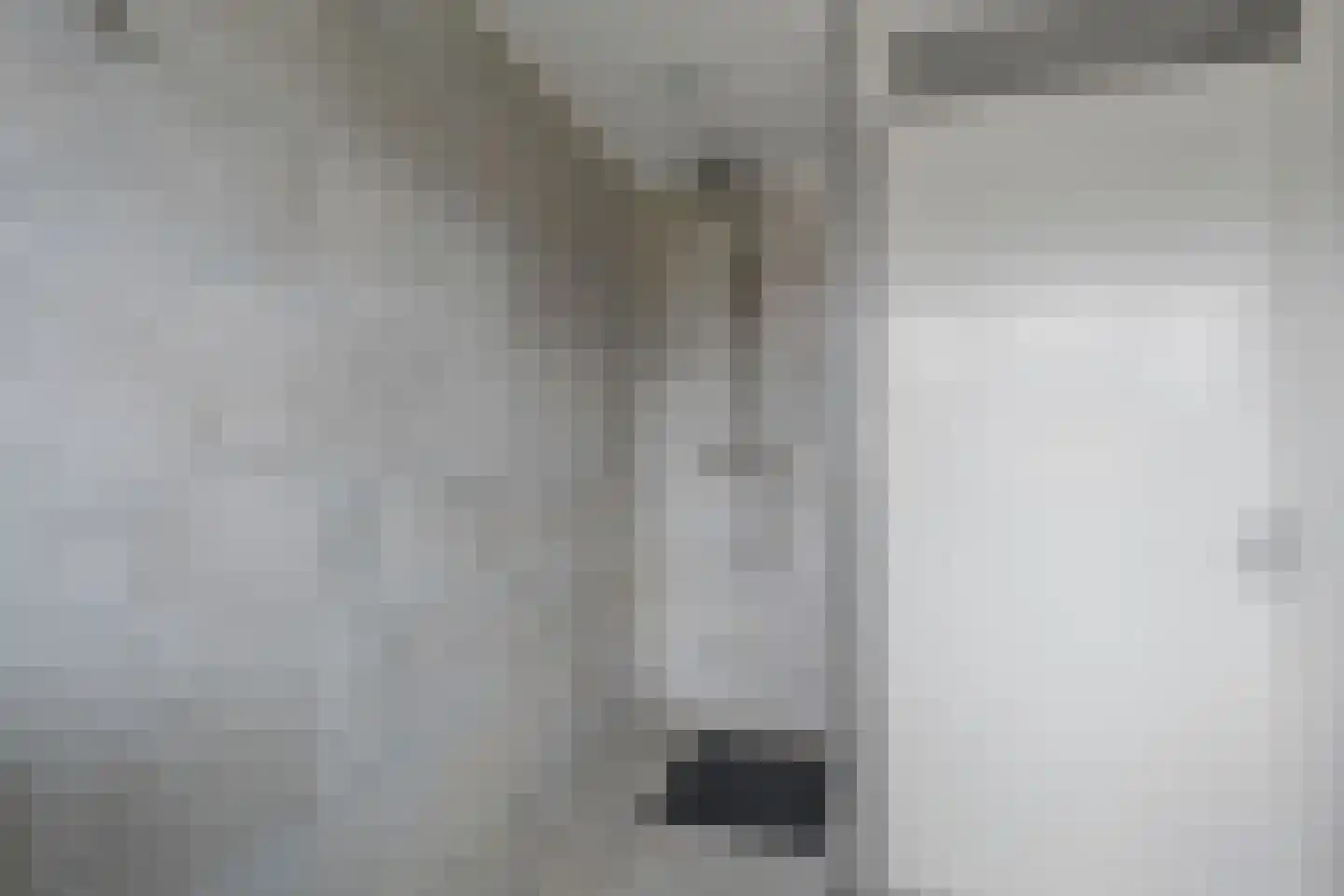 Valkruid 21 Klazienaveen thumbnail 32