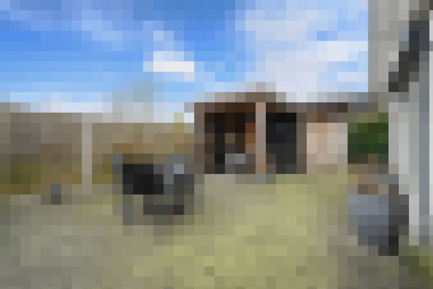 Valkruid 21 Klazienaveen thumbnail 38
