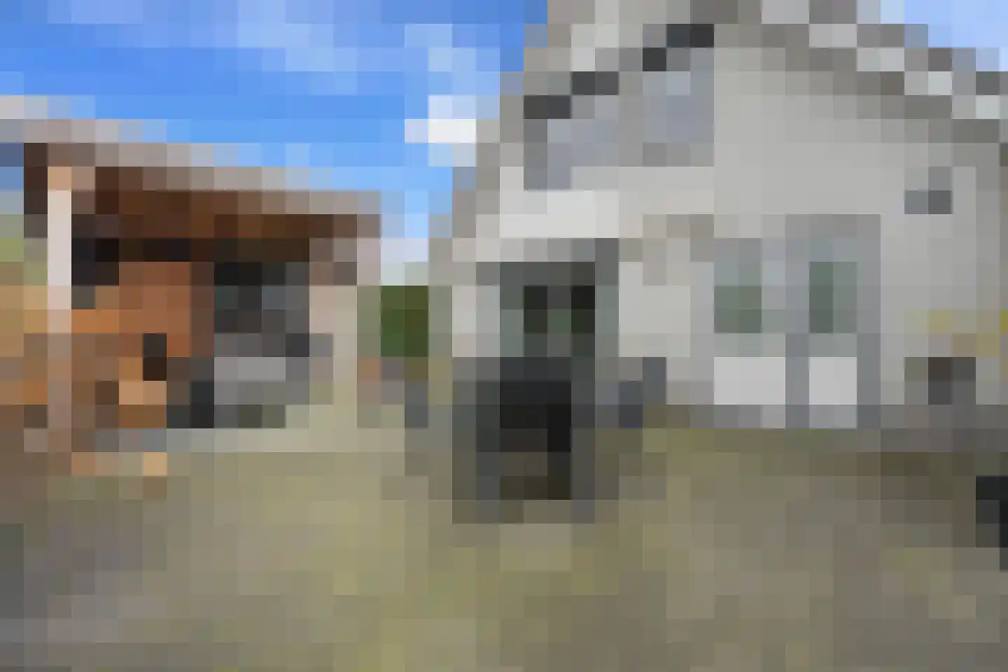 Valkruid 21 Klazienaveen thumbnail 39
