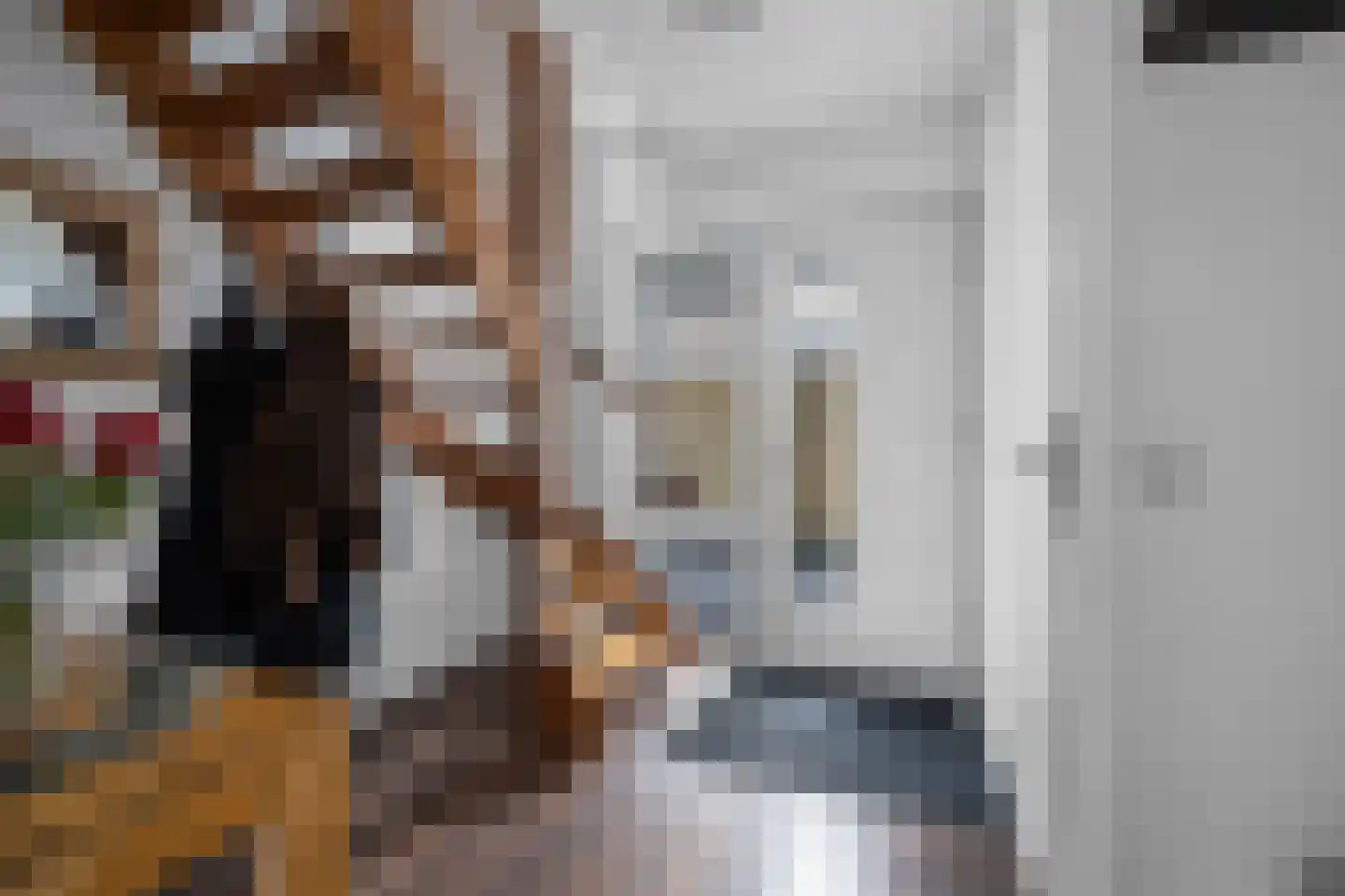 Valkruid 21 Klazienaveen thumbnail 4