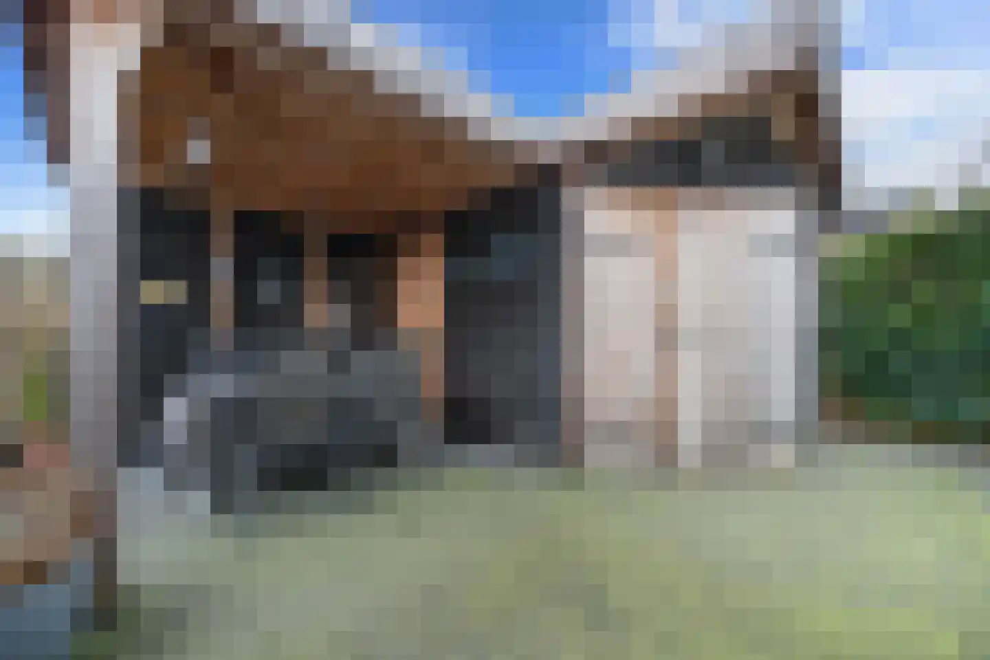Valkruid 21 Klazienaveen thumbnail 41