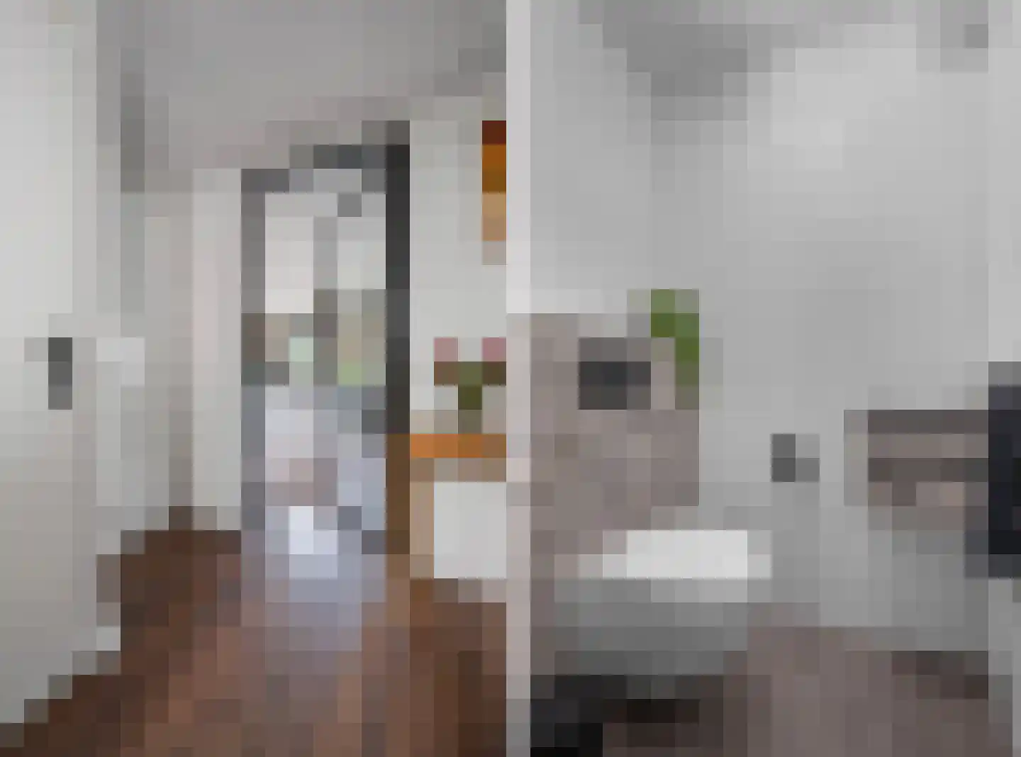 Valkruid 21 Klazienaveen thumbnail 5