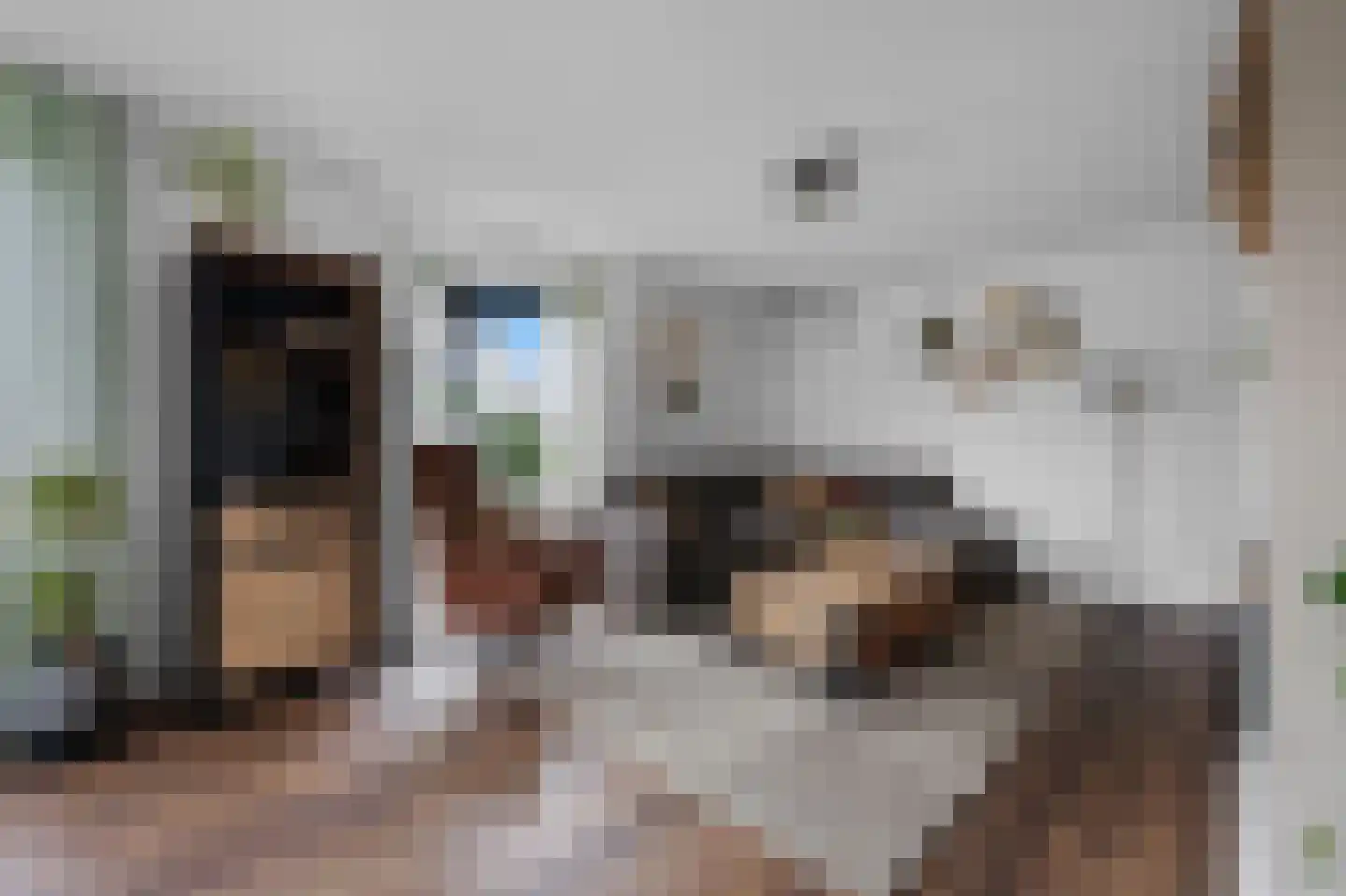 Valkruid 21 Klazienaveen thumbnail 7