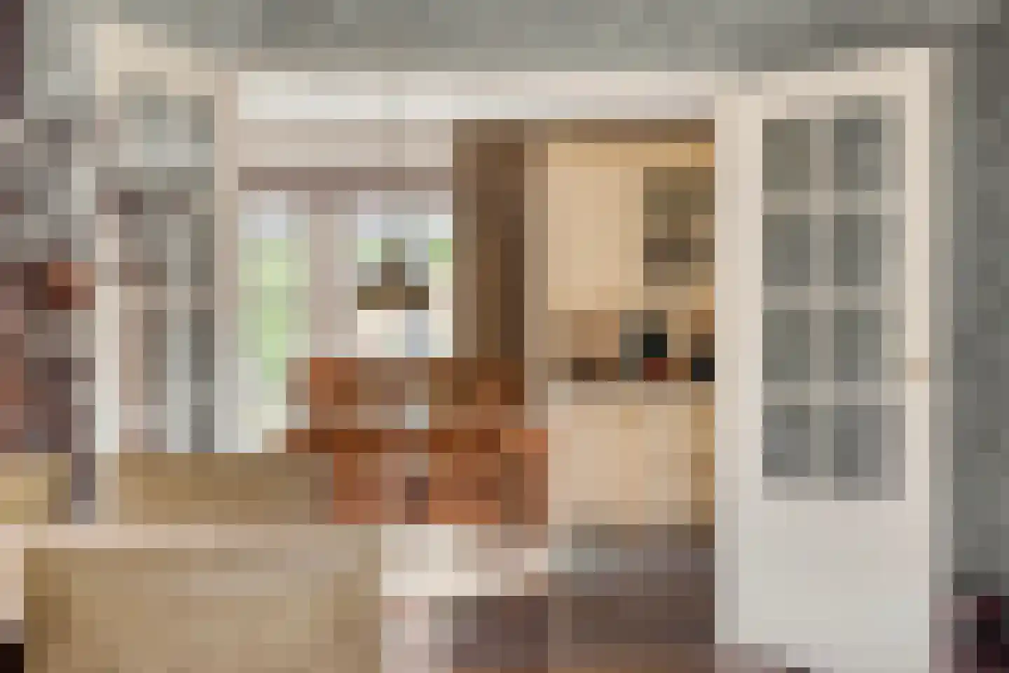Valkruid 27 Klazienaveen thumbnail 12