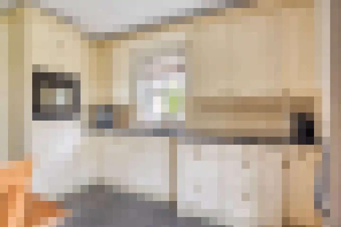 Valkruid 27 Klazienaveen thumbnail 14