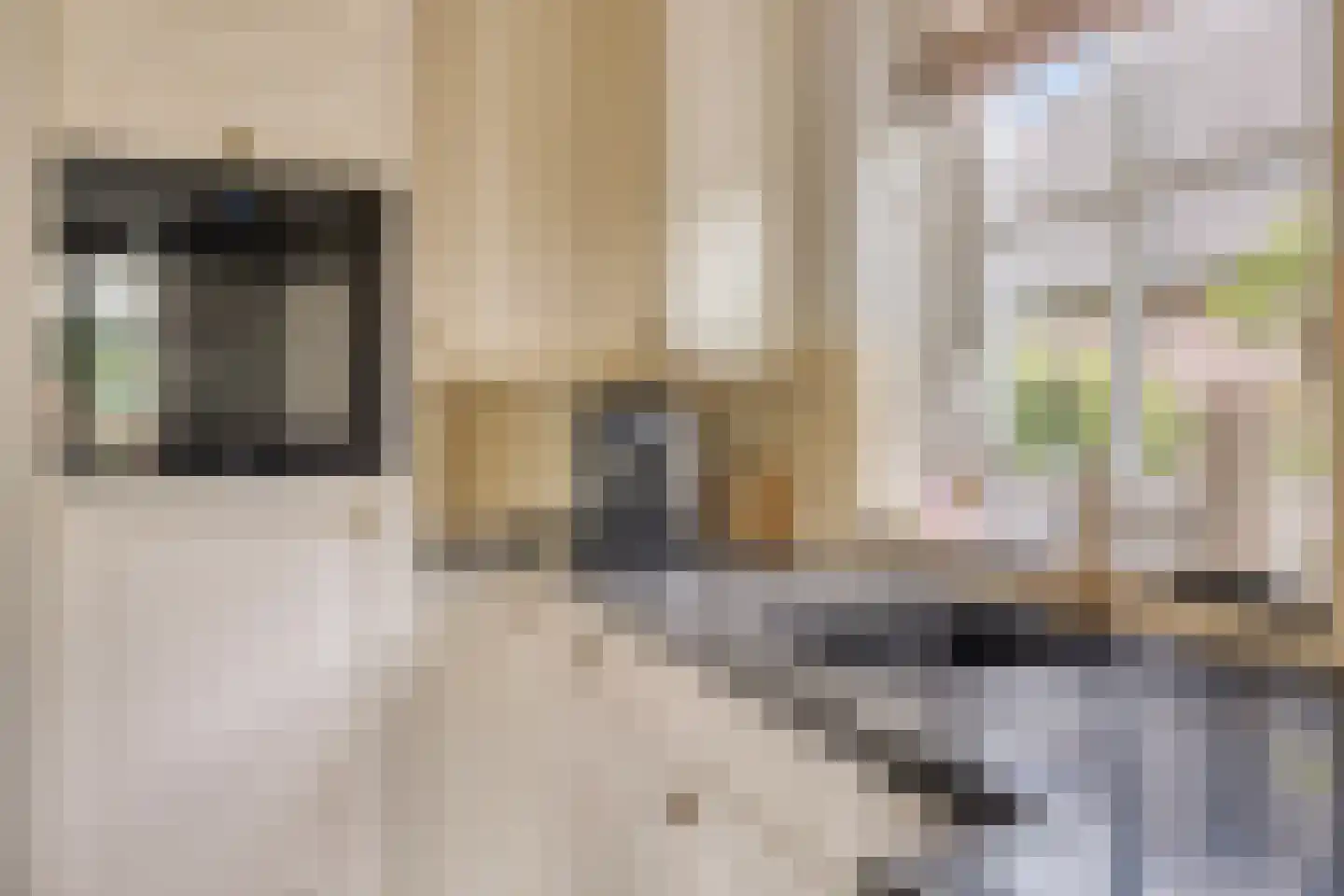 Valkruid 27 Klazienaveen thumbnail 15