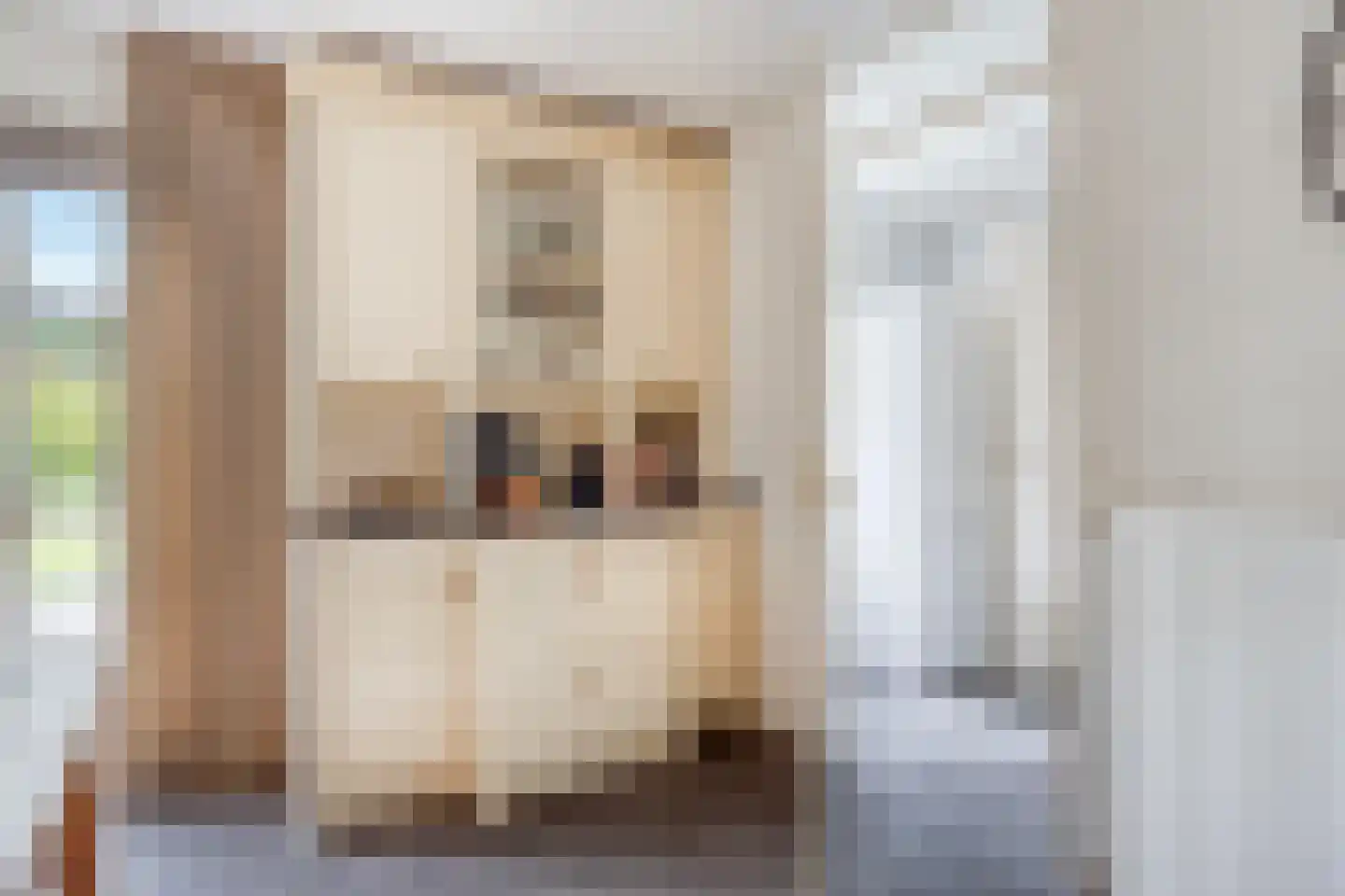 Valkruid 27 Klazienaveen thumbnail 16