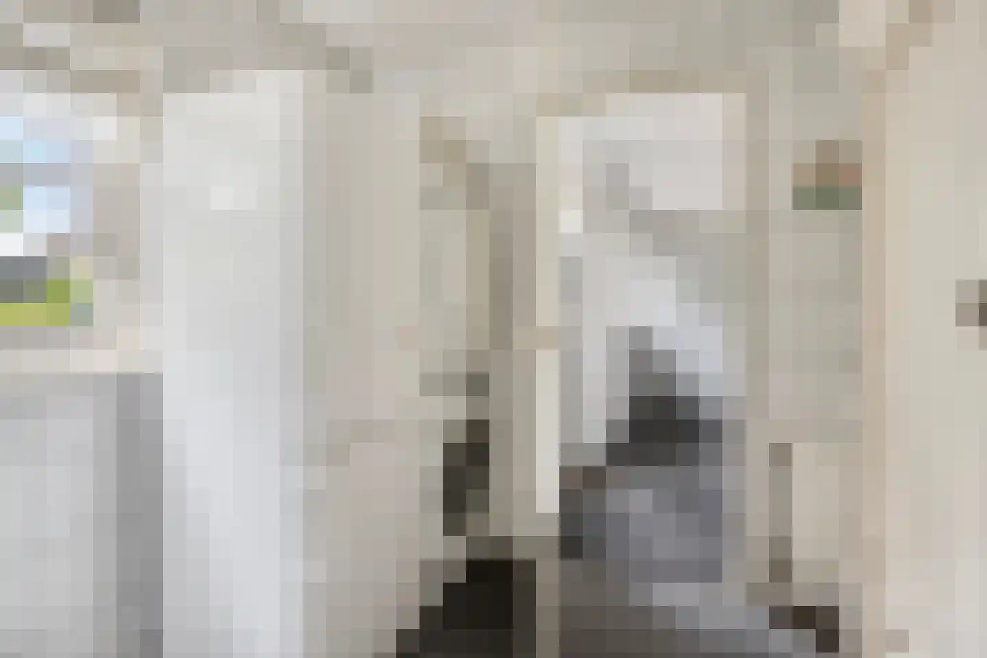 Valkruid 27 Klazienaveen thumbnail 17