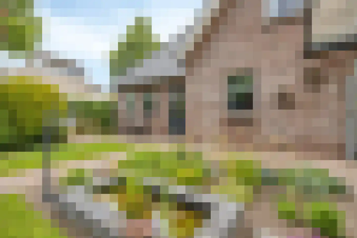Valkruid 27 Klazienaveen thumbnail 27