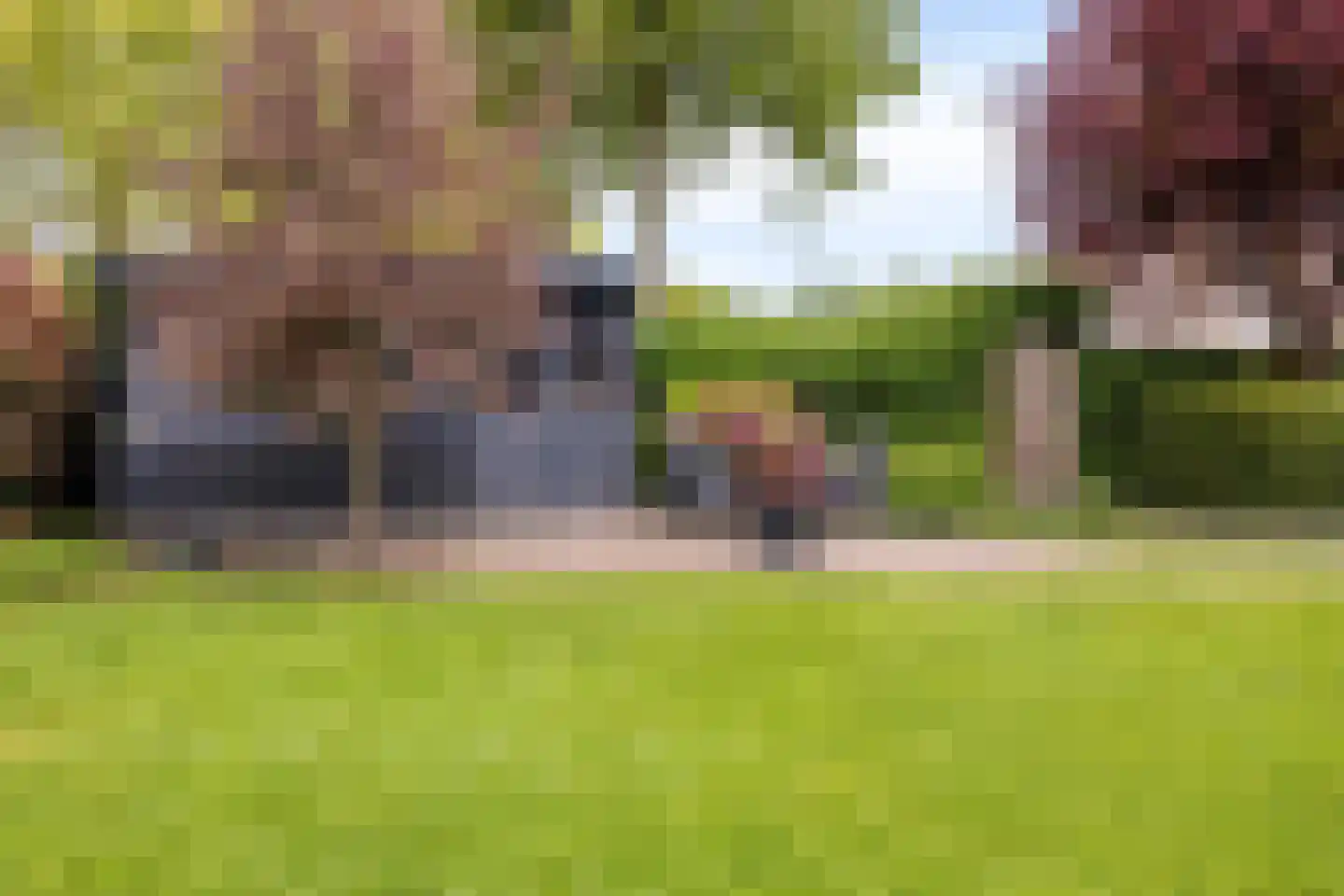 Valkruid 27 Klazienaveen thumbnail 29
