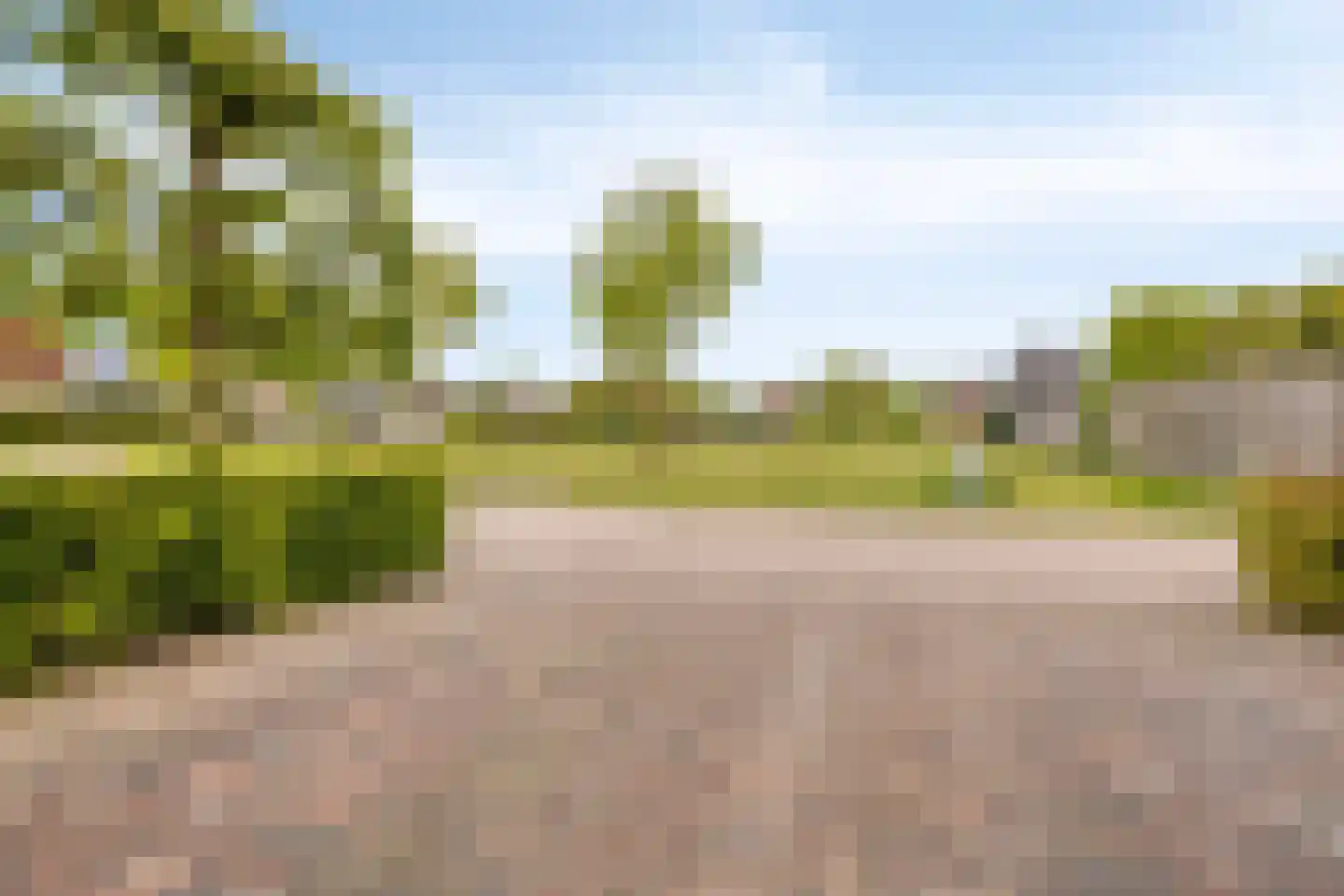 Valkruid 27 Klazienaveen thumbnail 31