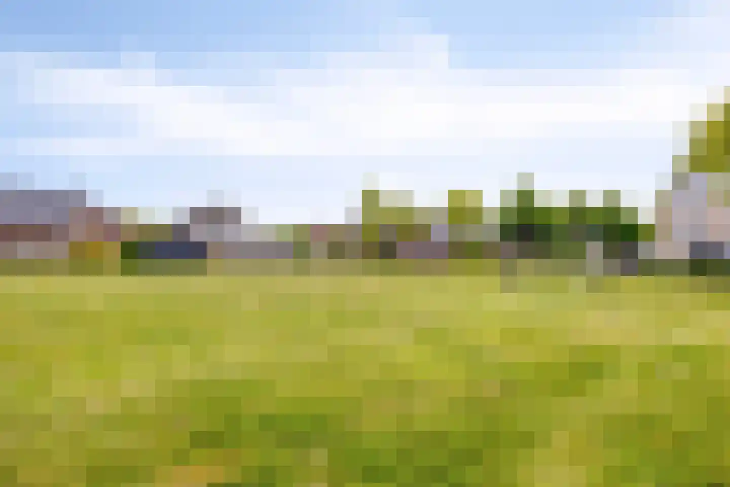 Valkruid 27 Klazienaveen thumbnail 32