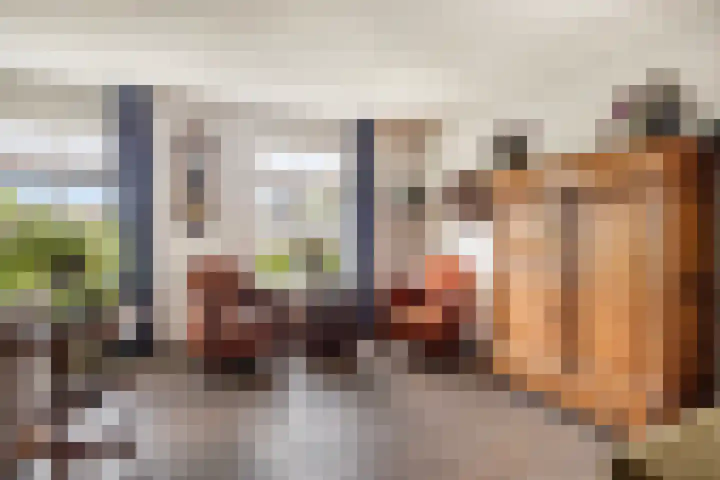 Valkruid 27 Klazienaveen thumbnail 8