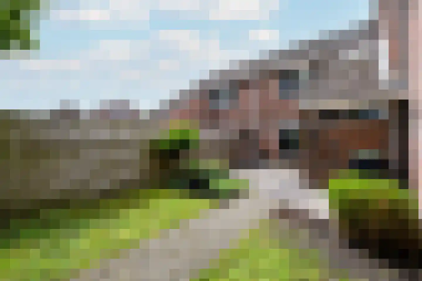 Valkruid 27 Wolvega thumbnail 30