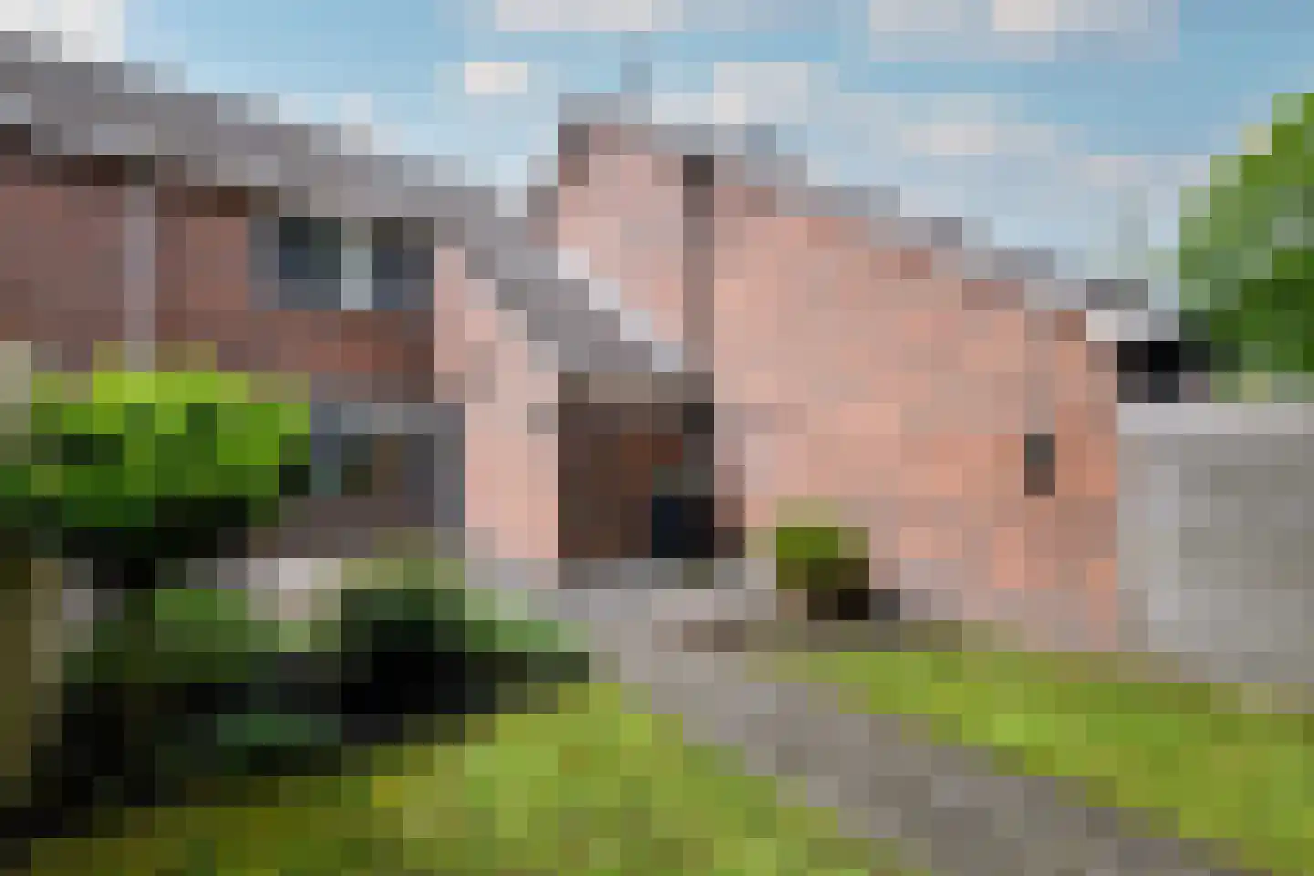 Valkruid 27 Wolvega thumbnail 31