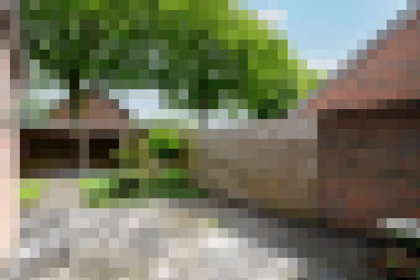 Valkruid 27 Wolvega thumbnail 33