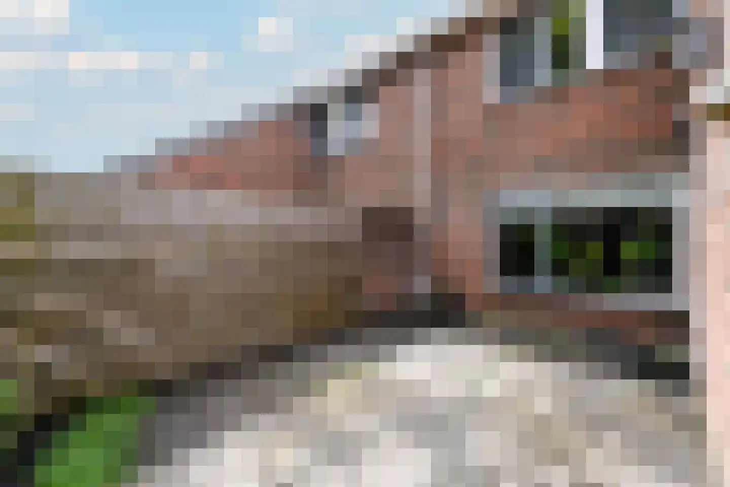 Valkruid 27 Wolvega thumbnail 34