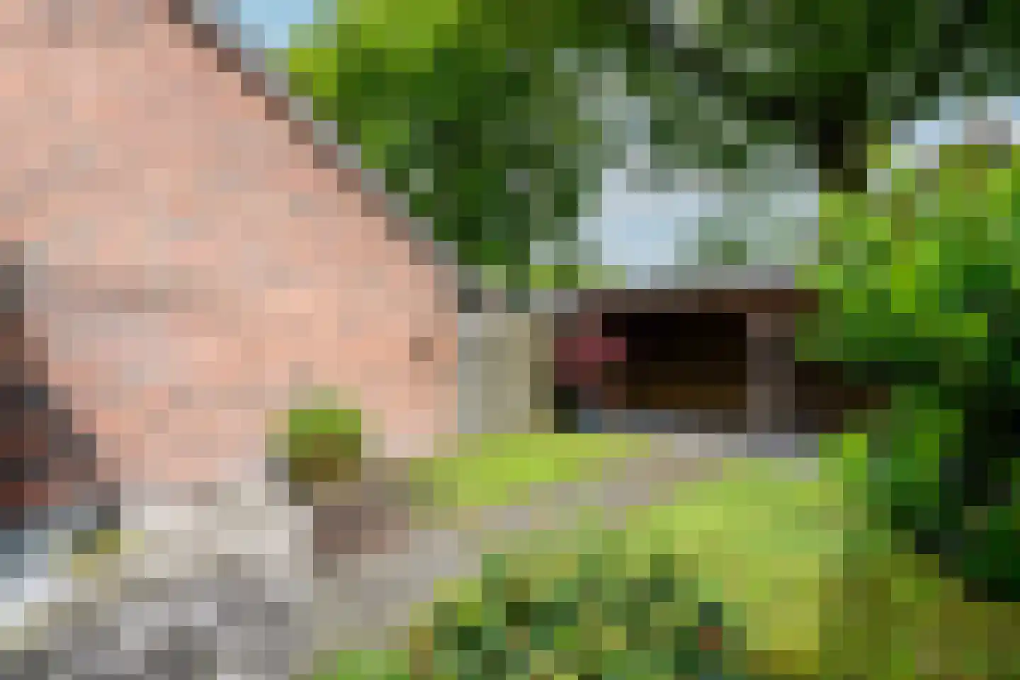 Valkruid 27 Wolvega thumbnail 35
