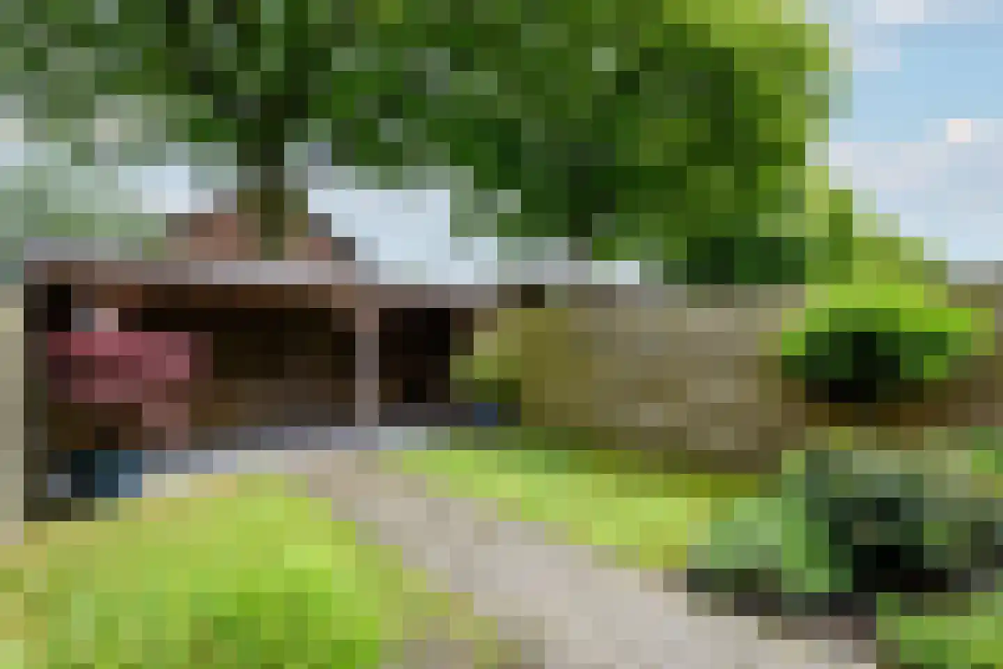 Valkruid 27 Wolvega thumbnail 36
