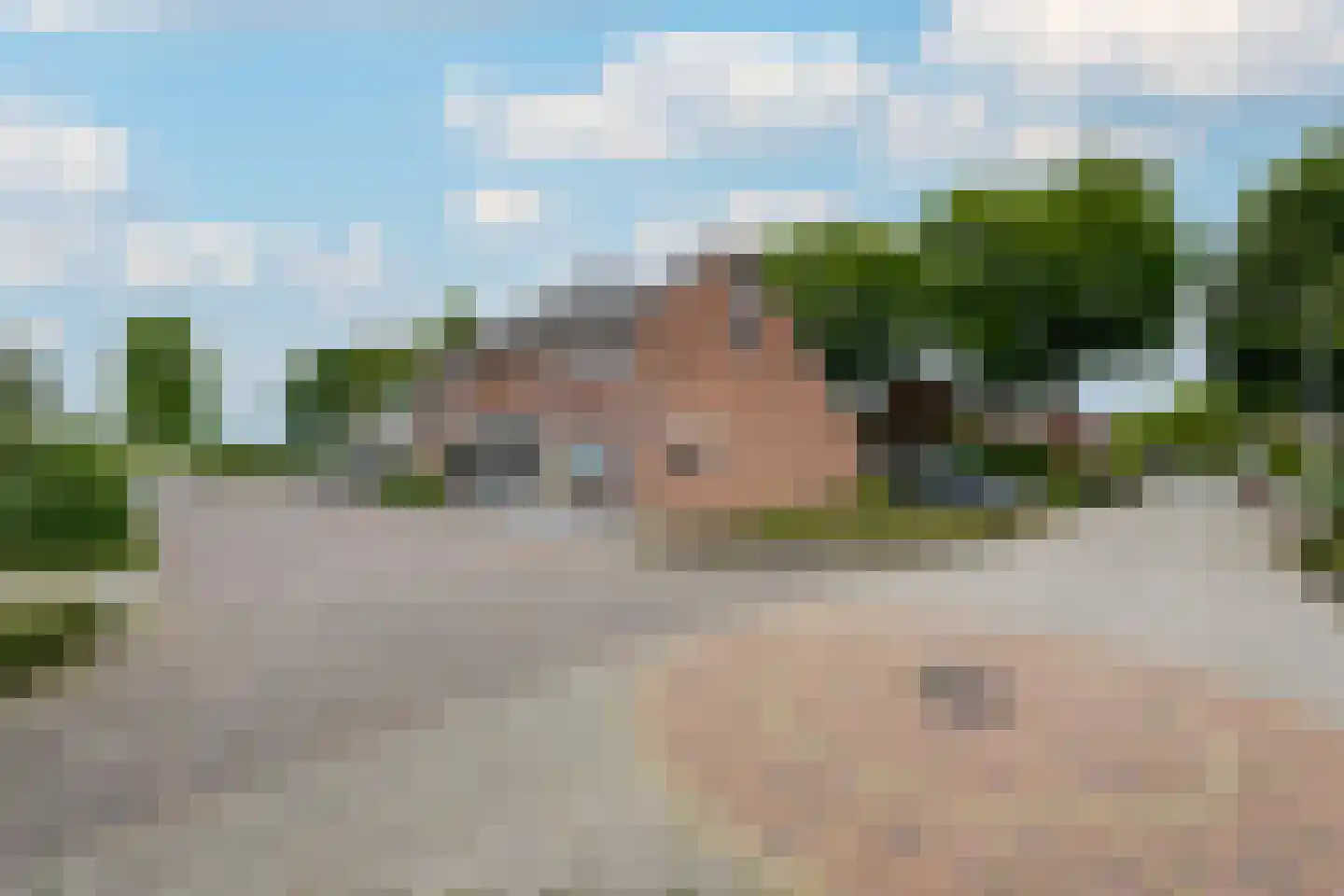 Valkruid 27 Wolvega thumbnail 39