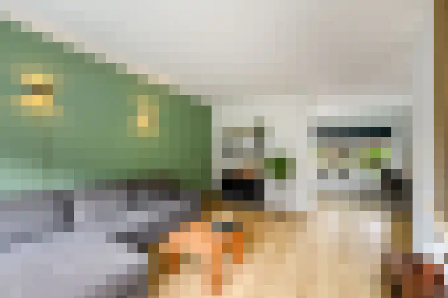 Valkruid 27 Wolvega thumbnail 6