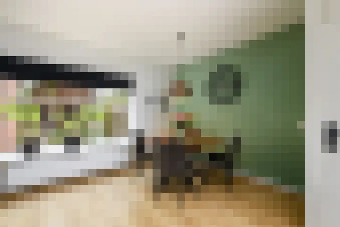 Valkruid 27 Wolvega thumbnail 8