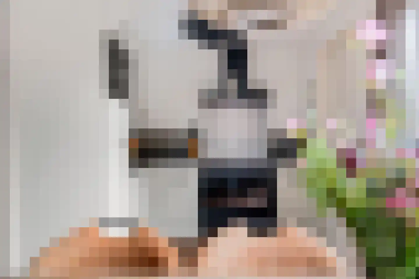 Valkruid 70 Nieuw-Buinen thumbnail 10