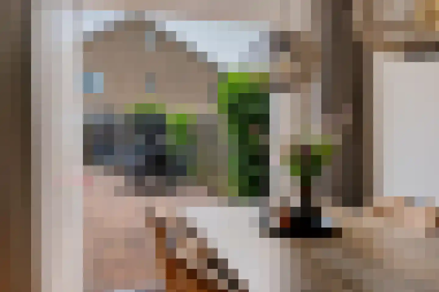 Valkruid 70 Nieuw-Buinen thumbnail 13