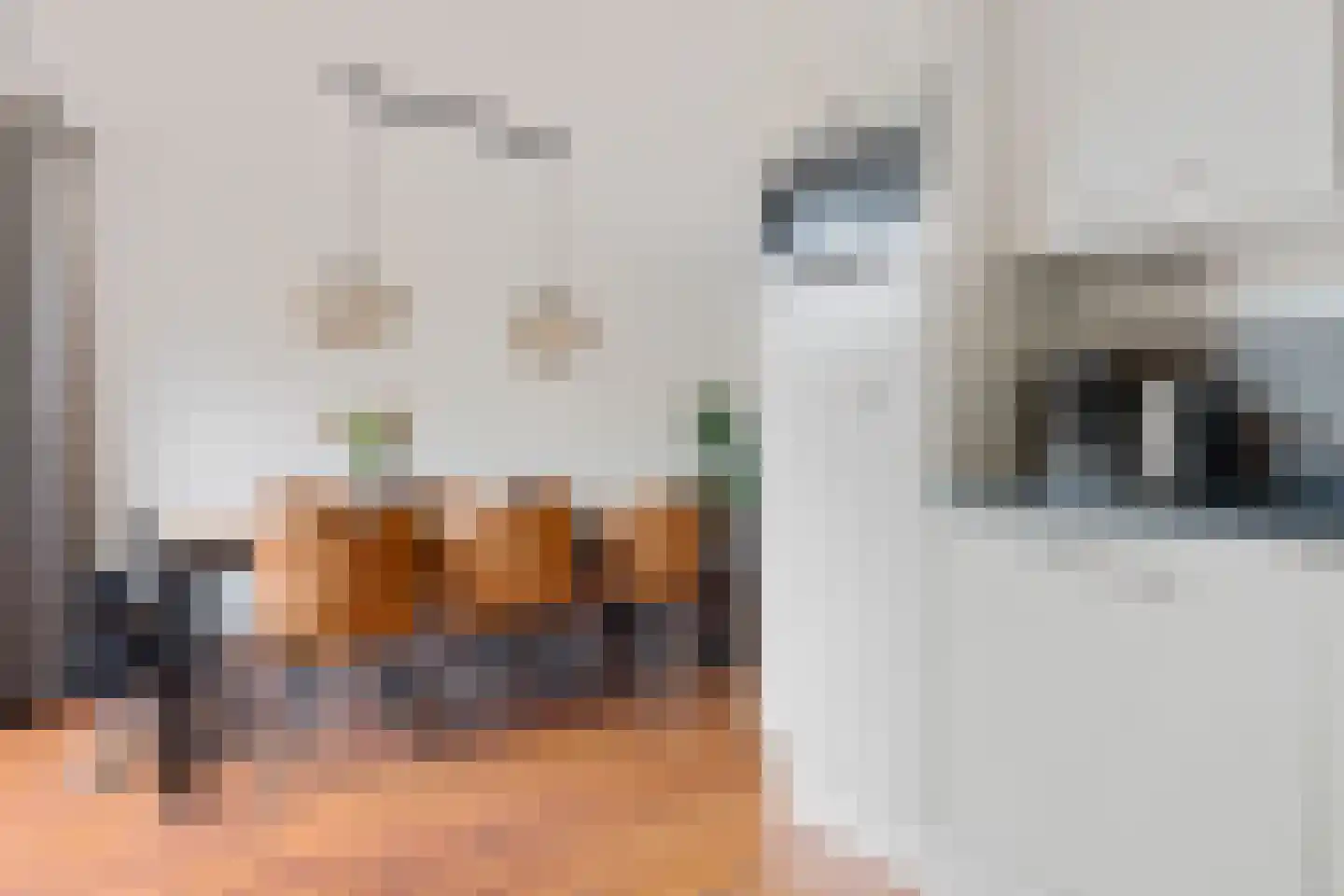 Valkruid 70 Nieuw-Buinen thumbnail 14
