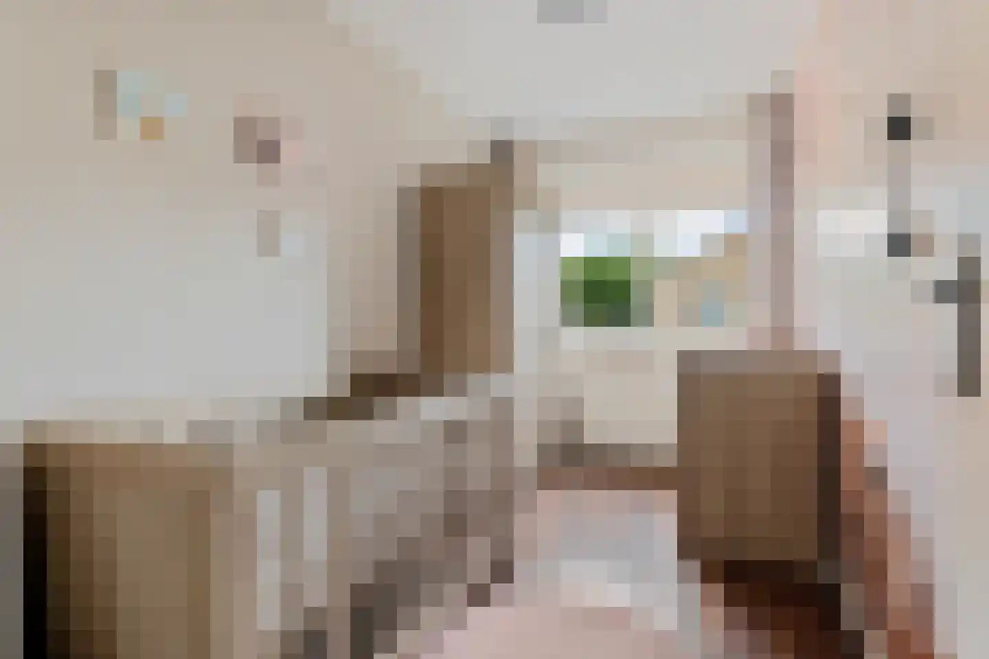 Valkruid 70 Nieuw-Buinen thumbnail 16