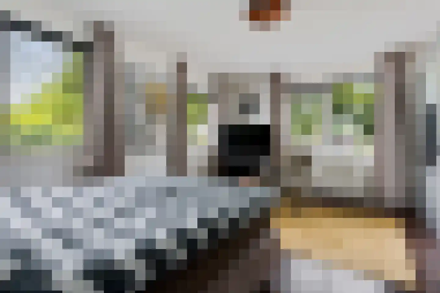Valkruid 70 Nieuw-Buinen thumbnail 24