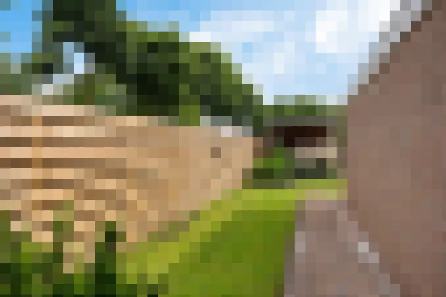Valkruid 70 Nieuw-Buinen thumbnail 30
