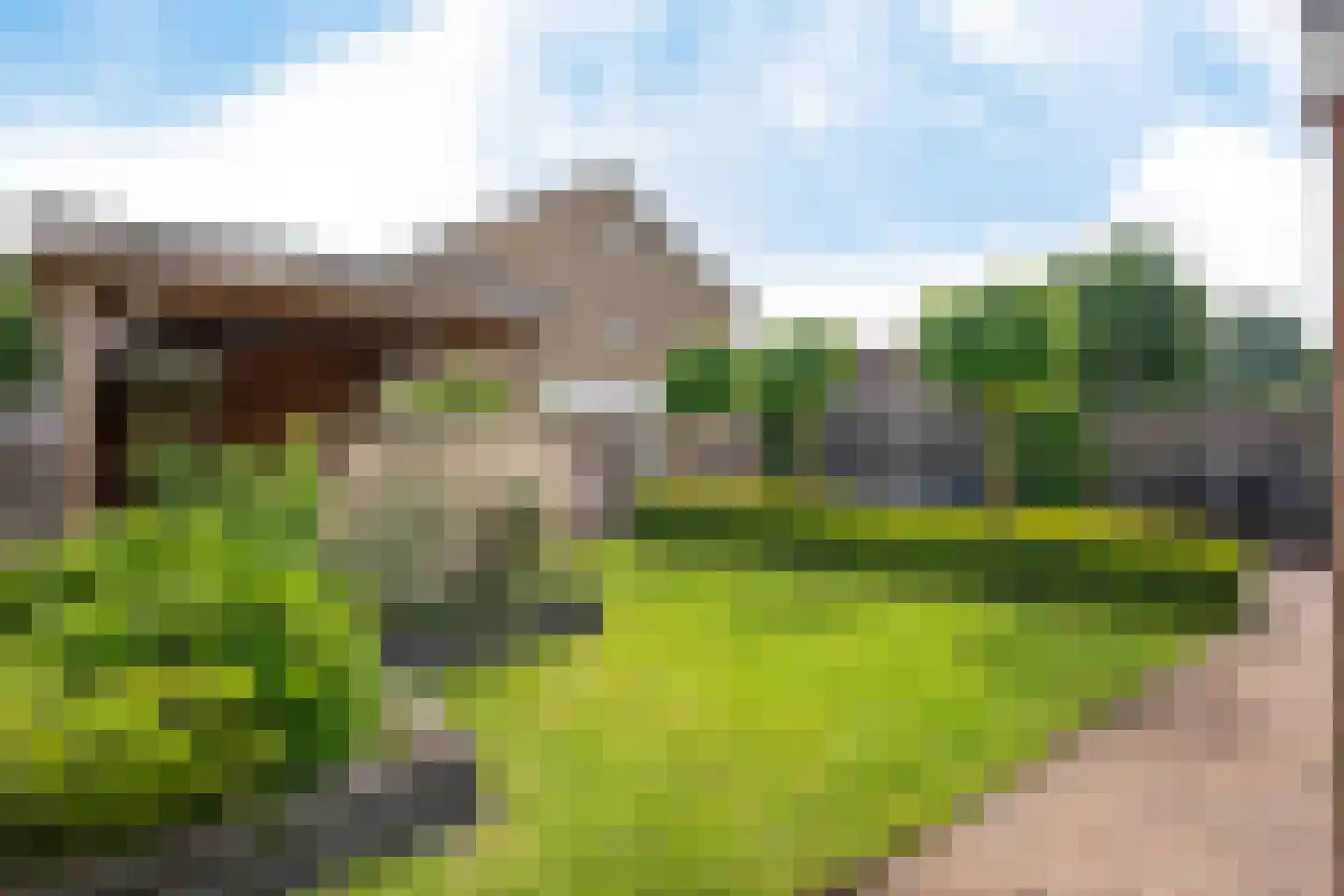 Valkruid 70 Nieuw-Buinen thumbnail 31