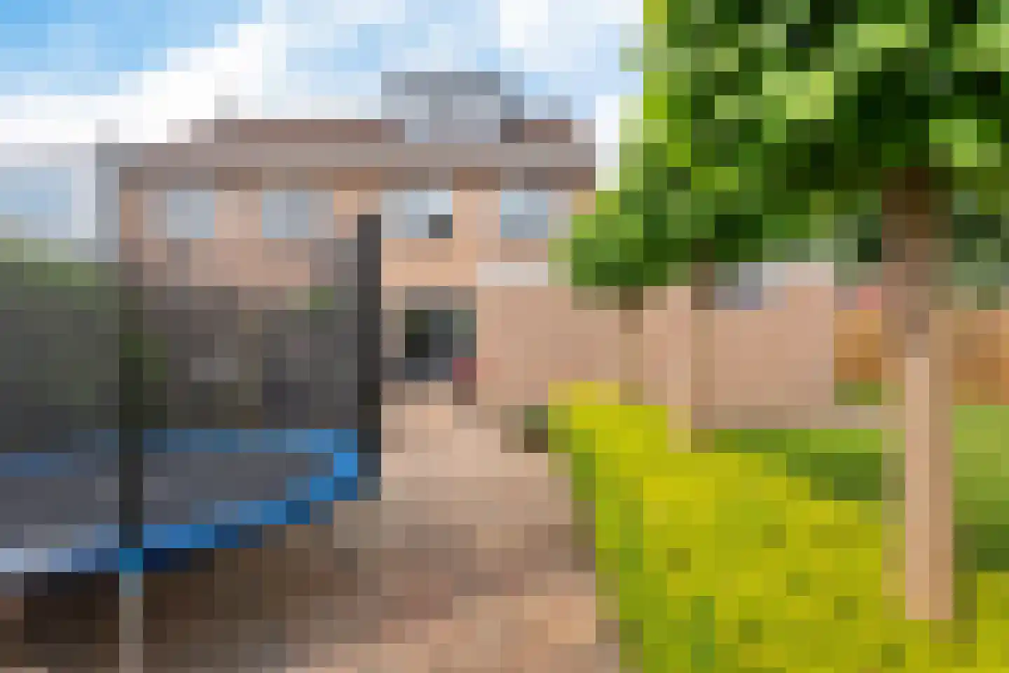 Valkruid 70 Nieuw-Buinen thumbnail 32