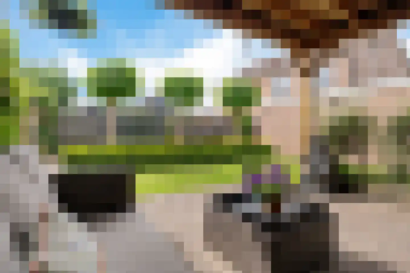 Valkruid 70 Nieuw-Buinen thumbnail 33